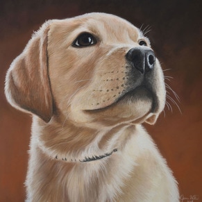 cute puppy pet portrait dog portrait custom unique gift